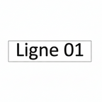 PBC-Plaquette boite aux lettres (taille grande)